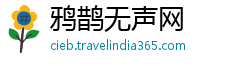 鸦鹊无声网